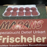 Original franzsische rote Marans Eier