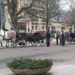 Besuch des schönen Weihnachtsmarktes in Baden-Baden