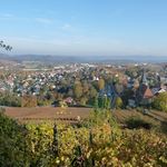 Blick auf Weinsberg